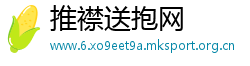 推襟送抱网